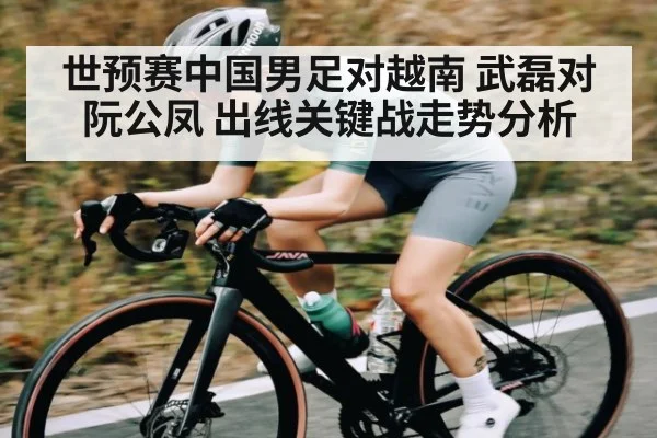 世预赛中国男足对越南 武磊对阮公凤 出线关键战走势分析